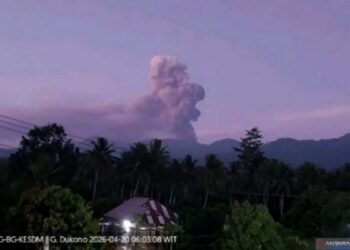 Foto: Gunung Dukono Halmahera Utara Erupsi Pagi Ini Semburkan Abu Vulkanik Setinggi 1,4 Kilometer 9