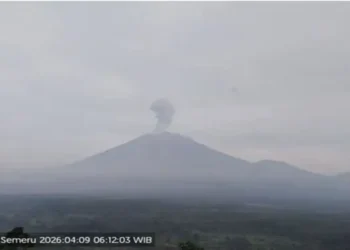Foto: Gunung Semeru Meletus Empat Kali Hari Ini Tinggi Kolom Abu Capai Satu Kilometer 10