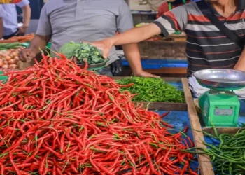 Foto: Update Harga Pangan Medan Cabai Merah Turun Namun Cabai Rawit Mulai Merangkak Naik 9
