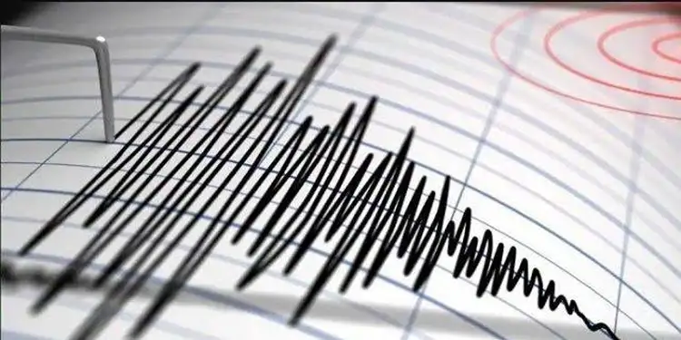 Foto: ilustrasi gempa.(BNPB)