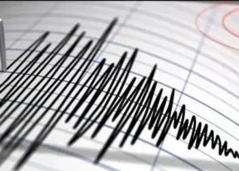 Foto: Update Terbaru Gempa Flores Timur Puluhan Guncangan Susulan Picu Kerusakan dan Trauma Warga di Adonara 8