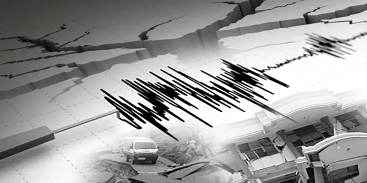 Foto: ilustrasi gempa.(Istimewa)