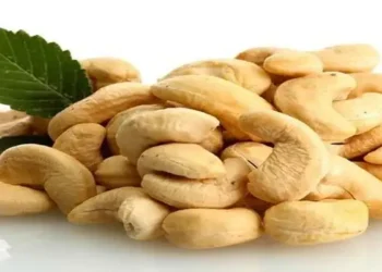 Foto: Apakah Aman Mengonsumsi Kacang Mete untuk Penderita Asam Urat Simak Fakta Medis dan Kandungan Purinnya 3