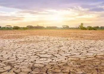 Foto: BMKG Peringatkan Potensi Musim Kemarau 2026 Lebih Kering dan Panjang Akibat Fenomena El Nino 3