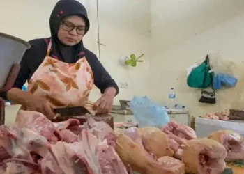 Foto: Harga Daging Ayam dan Minyak Goreng di Medan Turun, Gunawan Benjamin Ingatkan Potensi Kenaikan Harga Beras 6