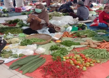 Foto: Update Harga Sayur di Kota Medan April 2026: Brokoli dan Kol Melejit, Daun Sop Justru Anjlok 5