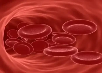 Foto: Ketahui Dampak Kadar Hemoglobin Rendah bagi Kesehatan dan Cara Efektif Mengatasinya 5