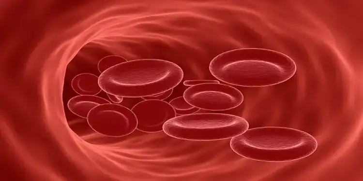 Foto: Ilustrasi sel darah merah (Freepik)