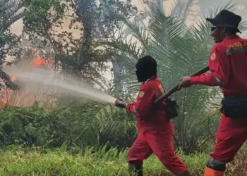 Foto: Upaya Manggala Agni Amankan Pemukiman Warga dari Ancaman Karhutla di Bengkalis Riau 1