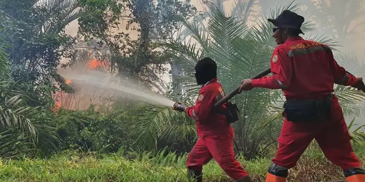 Foto: Berkat tindakan sigap petugas potensi kerugian harta benda milik penduduk akibat kebakaran berhasil diminimalisir.(Foto:Riau Pos/HO/Manggala Agni Daops Sumatera VI)