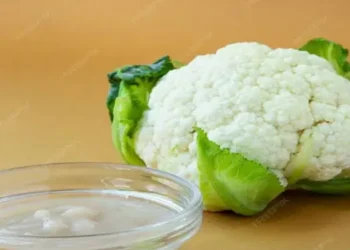 Foto: Daftar Makanan Sehat untuk Mendukung dan Meningkatkan Performa Fungsi Ginjal 7