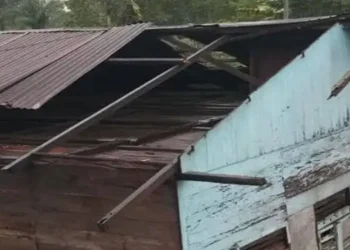Foto: Angin Puting Beliung Terjang Sipaholon Tapanuli Utara Sembilan Rumah Warga Desa Hutaraja Rusak 4