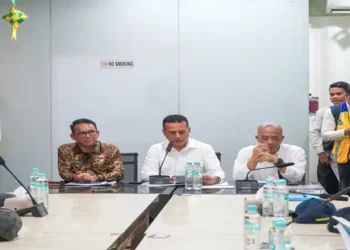 Foto: Wakil Wali Kota Medan Desak Pertemuan Lintas Sektoral untuk Tuntaskan Banjir Rob Belawan di Hadapan DPR RI 7
