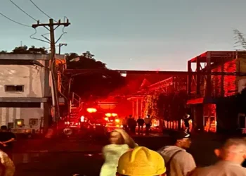 Foto: Damkarmat Kota Medan Padamkan Kebakaran Pabrik Minyak Sawit PT Agro di Martubung 10