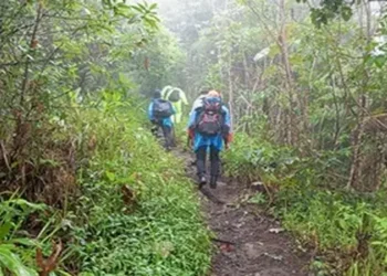 Foto: Tim SAR Evakuasi Enam Pendaki yang Tersesat di Gunung Lamari Sulawesi Tengah 6