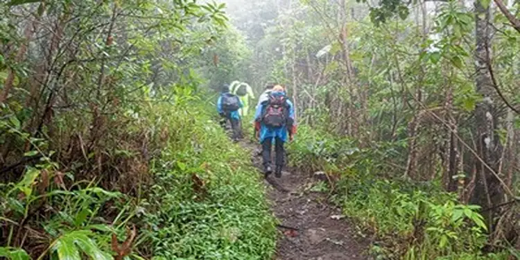 Foto: Operasi penyelamatan Tim SAR membuahkan hasil positif dengan ditemukannya para pendaki dalam keadaan sehat.(CNNI/HO-Arsip Humas SAR Bali)