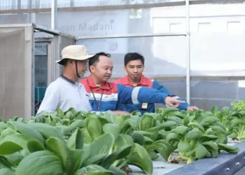 Foto: Pertamina Patra Niaga Sumbagut Raih 12 Penghargaan PROPER Hijau 2025 dari Kementerian Lingkungan Hidup 1