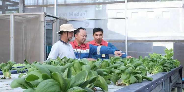 Foto: Pertamina Patra Niaga melalui Regional Sumatera Bagian Utara (Sumbagut) berhasil mencatatkan capaian gemilang dengan meraih 12 penghargaan PROPER Hijau.(Dok:Pertamina Sumbagut)