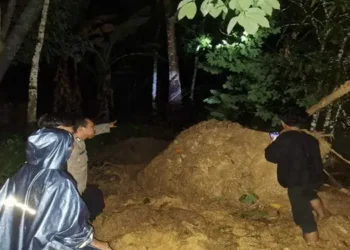 Foto: Bencana Longsor di Batang Toru Tapanuli Selatan Satu Korban Meninggal Dunia dan Satu Masih Hilang 10