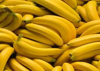 Foto: Daftar Buah yang Mengandung Vitamin B Tinggi untuk Penuhi Nutrisi Harian 4