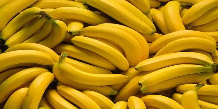 Foto: Buah pisang populer sebagai salah satu opsi buah dengan kadar vitamin B6 yang terbilang tinggi.(Foto: new.yesdok.com)