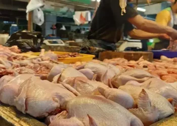 Foto: Ekonom Gunawan Benjamin Minta Pemerintah Waspadai Lonjakan Harga Pangan Akibat Pembengkakan Biaya Produksi 9