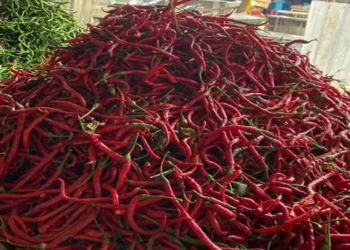 Foto: Harga Kebutuhan Pokok di Medan Kembali Normal Pasca Idul Adha, Cabai Merah Turun Drastis 3