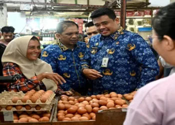 Foto: Harga Minyakita di Sumut Mulai Stabil, Stok Bulog Capai 100.000 Liter Dipasok Rp14.500 per Liter 7