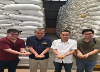 Foto: Jaga Stabilitas Pakan, BULOG Sumut Mulai Salurkan Bantuan SPHP Jagung 2026 Kepada Peternak 8