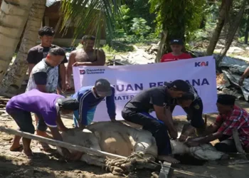Foto: KAI Divre I Sumut Salurkan Bantuan Hewan Kurban untuk Korban Banjir Aceh Tamiang dan Warga Banda Aceh 6