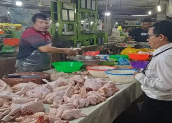 Foto: KPPU Kanwil I Pantau Harga Bahan Pokok di Pasar Medan, Soroti Kenaikan Cabai Merah dan Minyak Goreng Curah 2