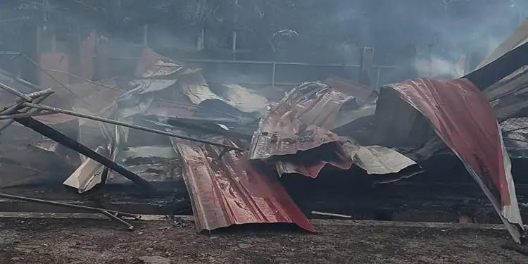Foto: Peternakan ayam potong ludes akibat musibah kebakaran hebat yang melanda wilayah Desa Pulau Tagor II, Dusun Bangun Sari, Kecamatan Galang, Kabupaten Deli Serdang pada Selasa (26/5/2026).(istimewa)