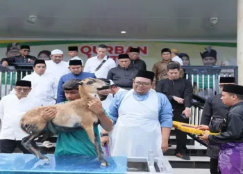 Foto: PT Aliyah Rizq Agriculture Raih Rekor Asia dan ASEAN dalam Pelaksanaan Kurban 2026 di Deliserdang Sumut 8