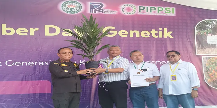 Gabungan Pengusaha Kelapa Sawit Indonesia (GAPKI), PT Socfin Indonesia, dan PT Riset Perkebunan Nusantara (RPN) berkolaborasi menggelar Pelepasan Sumber Daya Genetik (SDG) asal Tanzania, pada Selasa, 5 Mei 2026.(SeputarSumut/Siong)