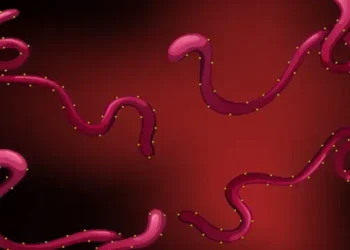 Foto: WHO Deklarasikan Wabah Ebola Kongo dan Uganda sebagai Darurat Kesehatan Internasional 6