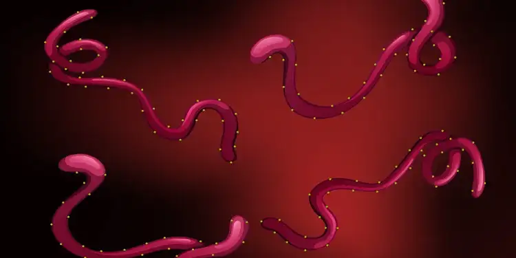 Foto: ilustrasi virus Ebola.(Foto:Freepik.com)
