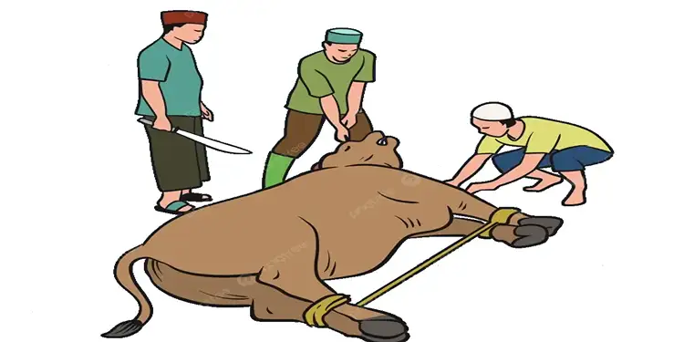 Foto: Ilustrasi sembelih kurban (@pngtree)