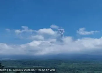 Foto: Gunung Semeru Erupsi Empat Kali dalam Satu Jam dengan Tinggi Letusan Mencapai 1 Kilometer 5