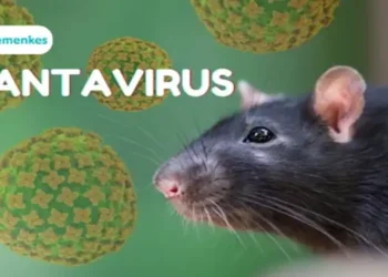 Foto: Waspada Ancaman Hantavirus IDAI Tekankan Pencegahan Melalui PHBS karena Belum Ada Vaksin 5