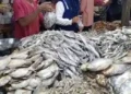 Mengenal Kandungan Kolesterol pada Ikan Asin dan Dampak Konsumsi Natrium Berlebih Bagi Kesehatan 8
