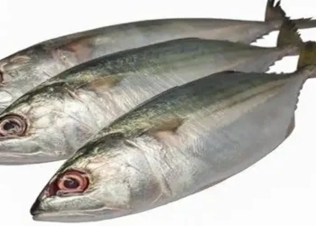 Foto: Daftar Ikan Rendah Kolesterol yang Aman Dikonsumsi dan Kaya Omega 3 di Indonesia 10