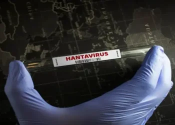 Foto: Kenali Gejala Hantavirus dan Cara Penularannya Menyusul Temuan Kasus di Kapal Pesiar MV Hondius 3