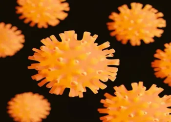 Foto: Pemerintah Inggris Isolasi 24 Warga Penumpang Kapal MV Hondius Terkait Wabah Hantavirus 2026 8