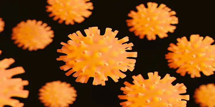Foto: Hantavirus dikenal sebagai kelompok virus zoonosis yang memiliki kemampuan menular dari hewan ke manusia, dengan tikus atau hewan pengerat lainnya.(Foto:Freepik)