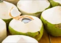 Manfaat Air Kelapa untuk Ibu Hamil dan Panduan Aman Konsumsinya Menurut Para Ahli 8