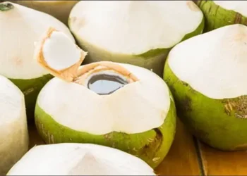 Foto: Manfaat Air Kelapa untuk Ibu Hamil dan Panduan Aman Konsumsinya Menurut Para Ahli 1