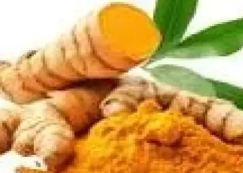 Foto: Rekomendasi Tanaman Herbal untuk Membantu Menurunkan Kolesterol Secara Alami 2