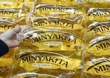 Foto: Harga Minyakita di Sumatera Utara Tembus 20 Ribu Rupiah per Kilogram Pengamat Ekonomi Minta Pemerintah Segera Petakan Masalah Distribusi 5