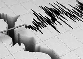 Foto: BPBD Sulawesi Tengah Catat 42 Gempa Susulan Pasca-Gempa Magnitudo 6,7 di Parigi Moutong 1