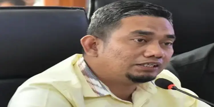 Foto: Anggota DPRD Medan Zulham Efendi.(Ist)